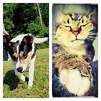 Bailey & Kenny
